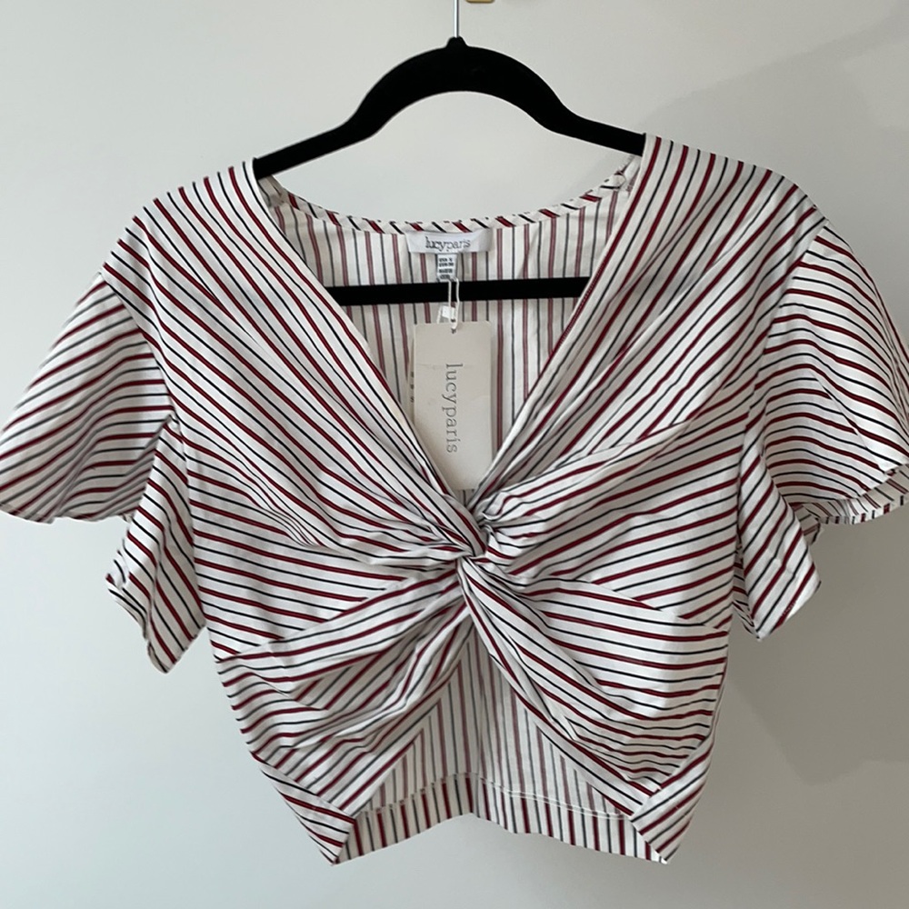 Lucy Paris Small Striped Crop top